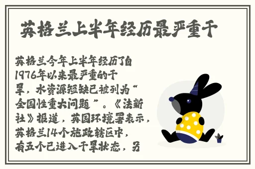 独家爆料免费吃瓜